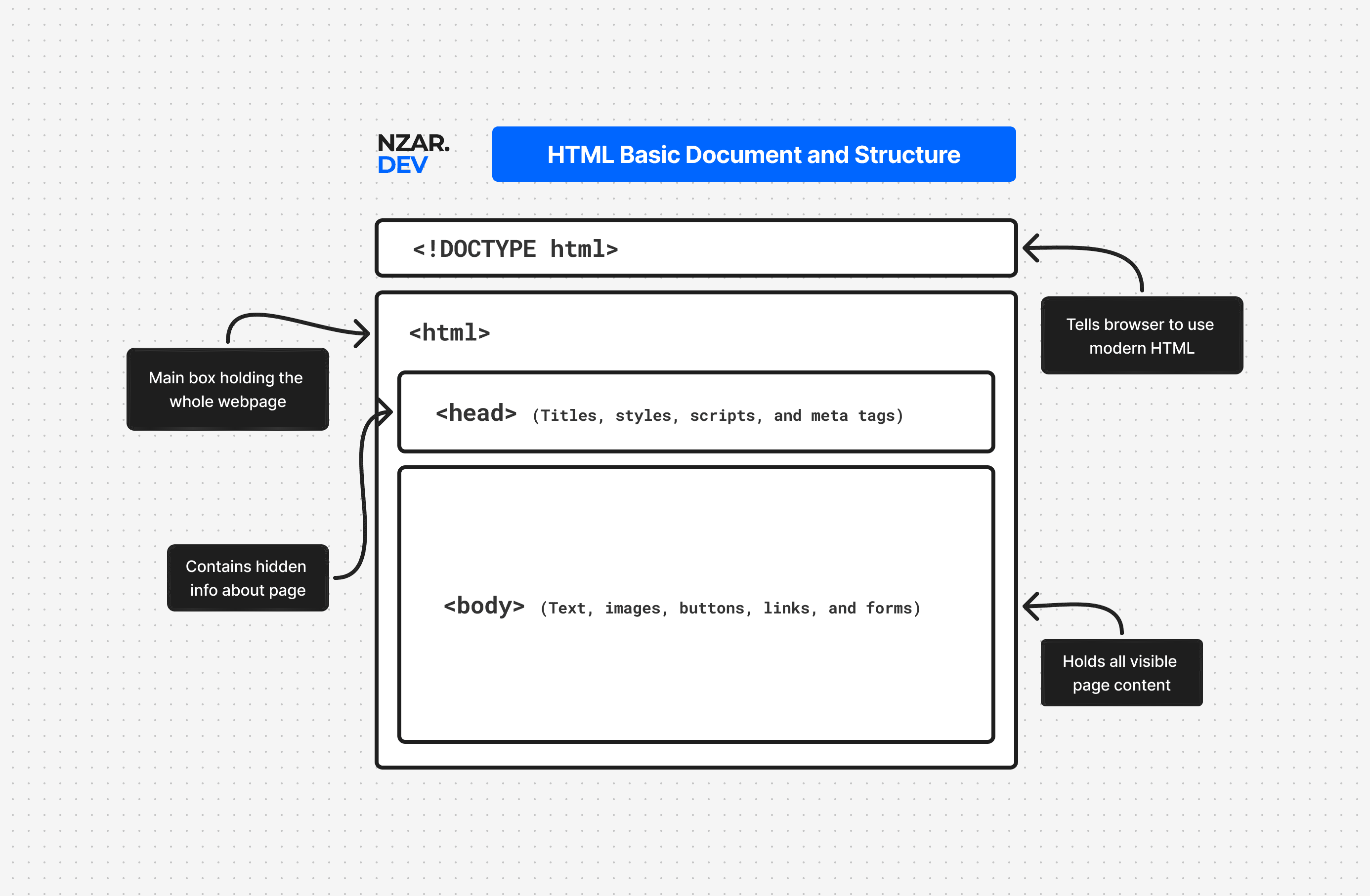 HTML Document Structure Explained: DOCTYPE, HTML, Head & Body Beginner Guide