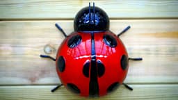 What is Debugging? How to Debug Your Code. By German Cocca